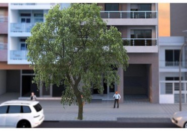 DPTO EN VENTA 2 DORM BARRIO MARTIN